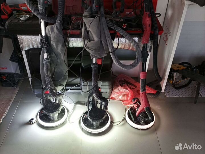 Прокат жираф