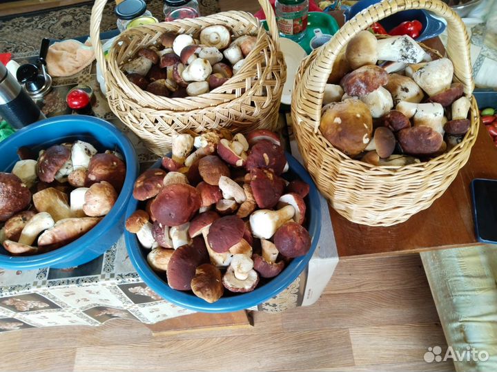 Компоты, боярышник, заморозка, грибы,салаты