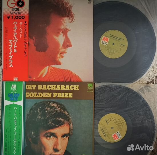 Ранние пресса Shocking Blue–Venus, Bacharach