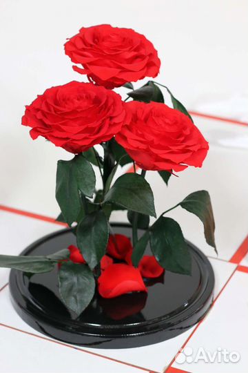 Цветы