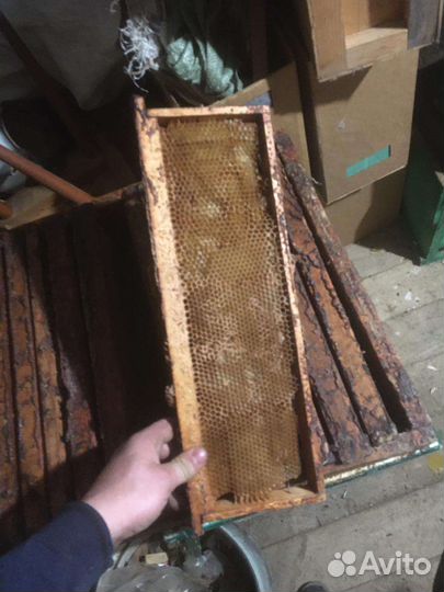 Рамки для ульев дадан с сушью и без