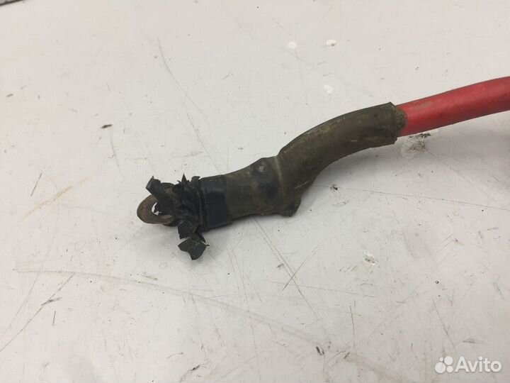 Электропроводка днища плюс (Jaguar XJ)