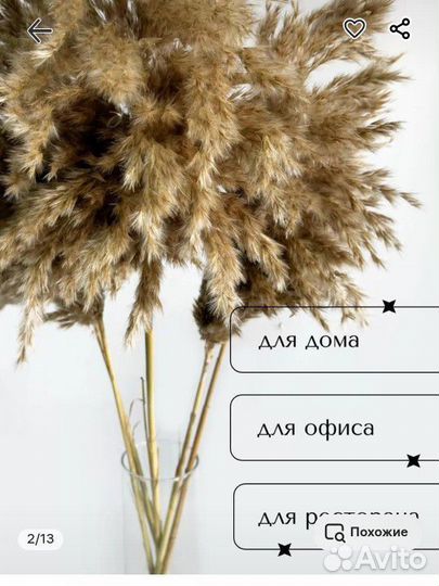 Камыш сухоцвет декоративный натуральный - 5 веток