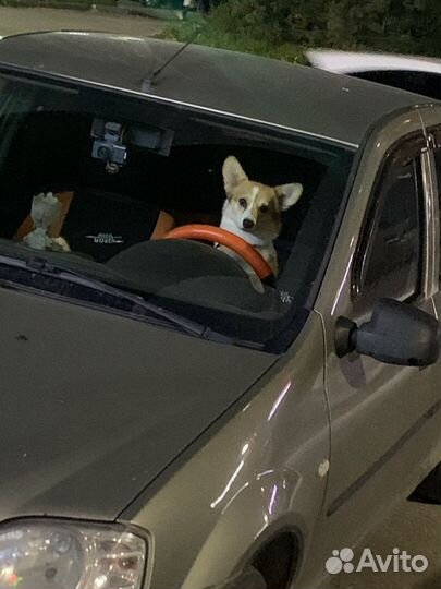 Срочный выкуп авто