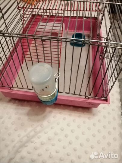 Клетка для сирийского хомяка