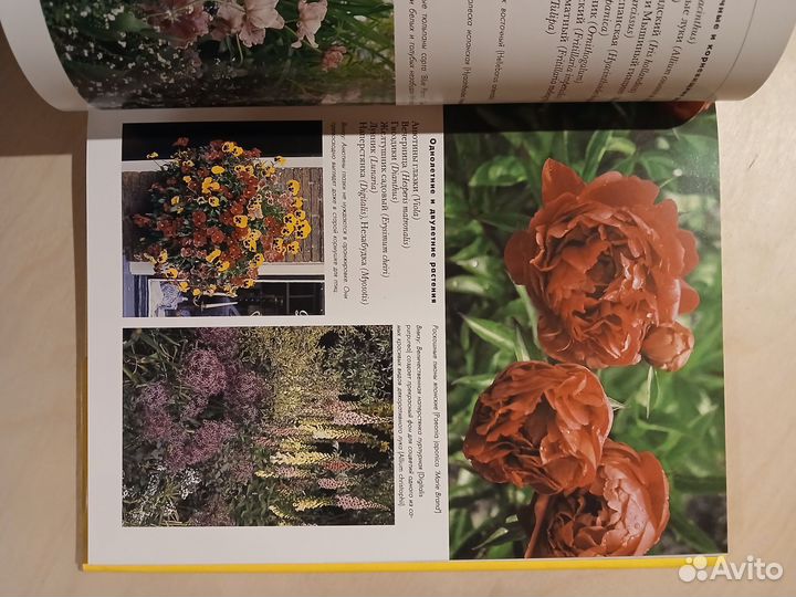 Декоративные композиции из цветов