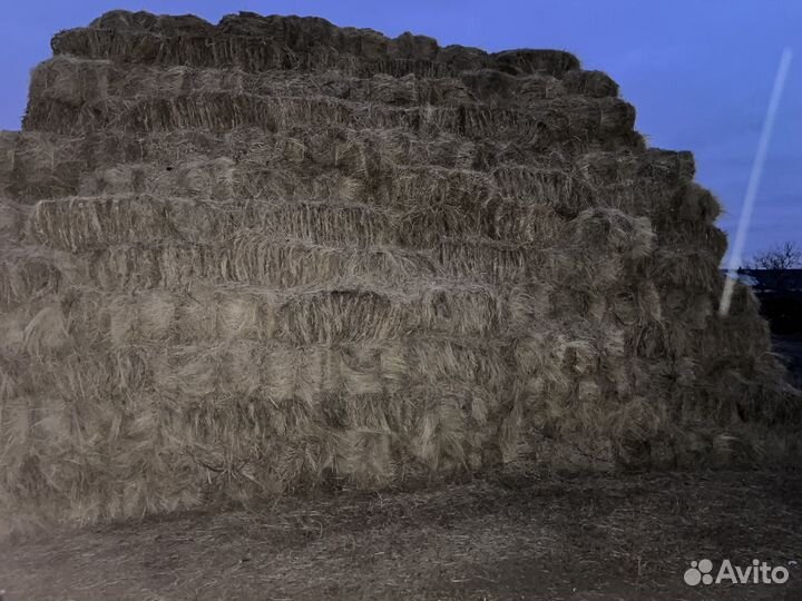 Сено в тюках