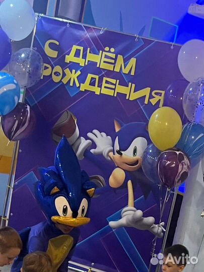 Фотозона Соник