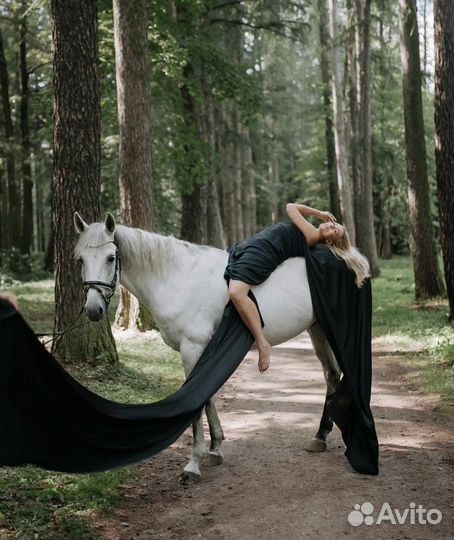 Фотосессия на лошадях