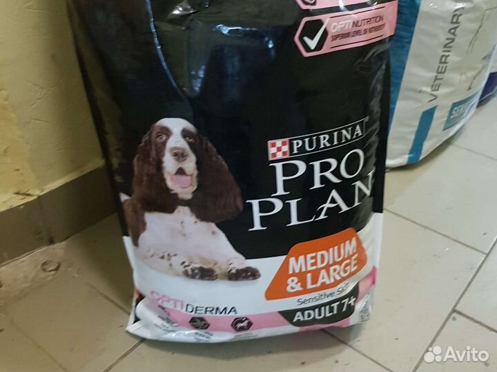 Корм для собак