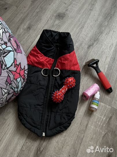 Товары для мелких собак