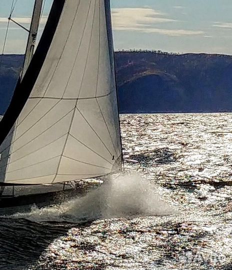 Ведущий, саксофон,гитара,вокал,ди-джей