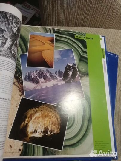 Энциклопедия древо познания коллекция