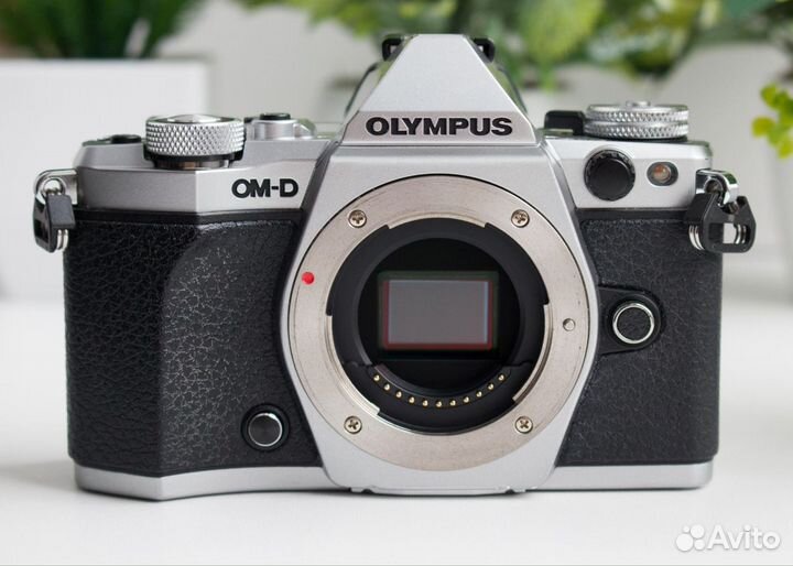 Olympus OM-D E-M5 Mark II Kit