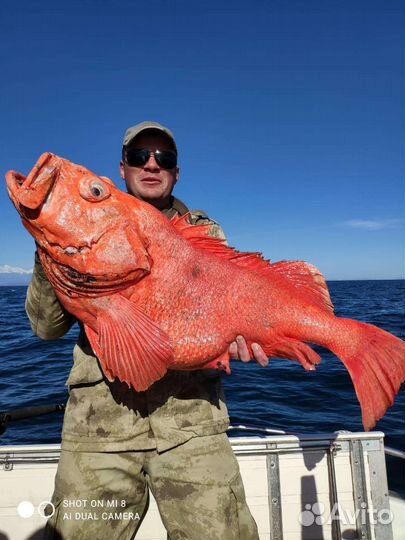 Морские прогулки на катере