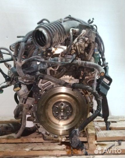 Контрактный двигатель B4204T6 tnba