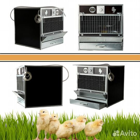Брудер для цыплят бройлеров. Комфорт мини