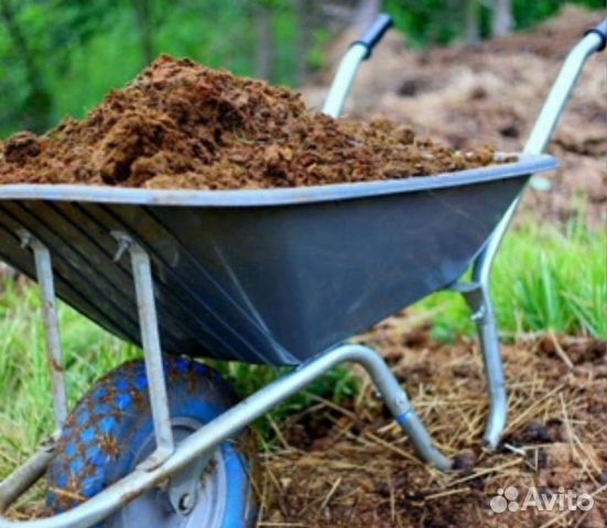 Конский навоз