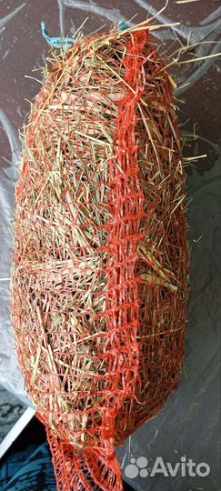 Сено для грызунов