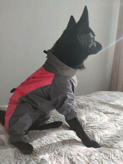 Дождевик для собак rungo 33