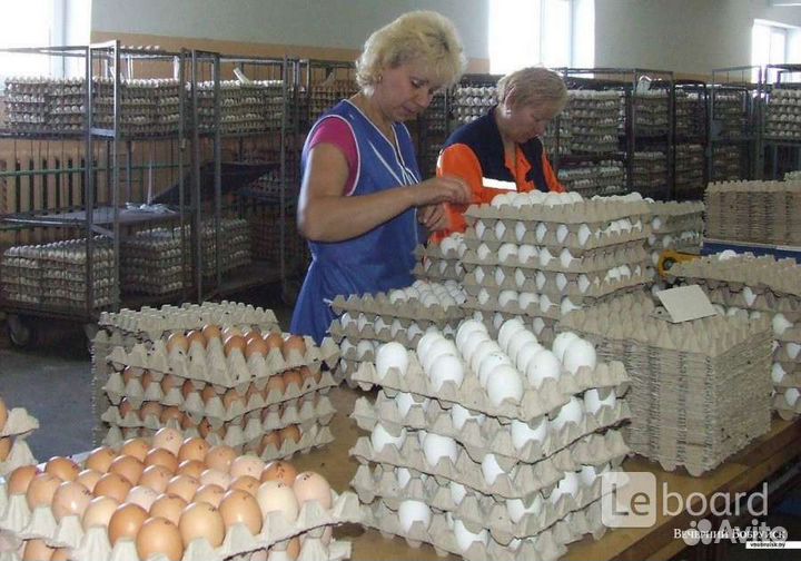 Фасовщицы еженедельные выплаты