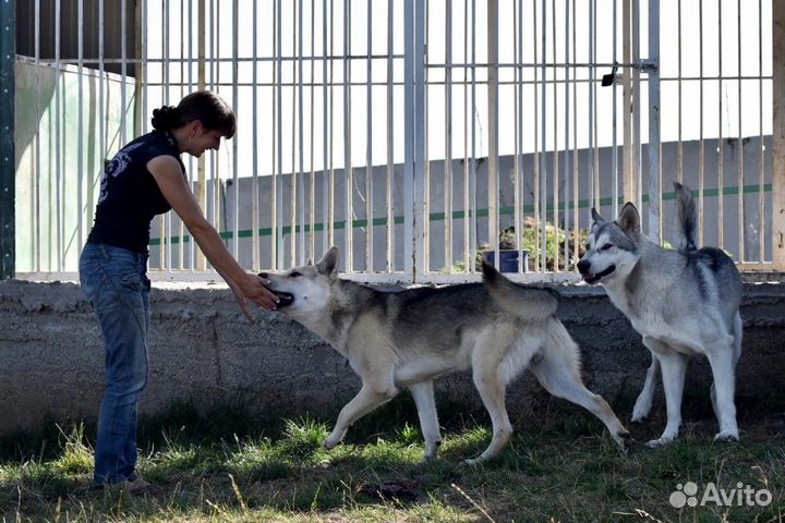 Экскурсия — Кисловодск — Горные окрестности Кислов