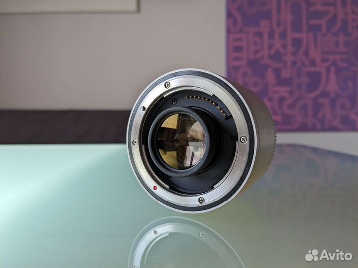 Canon Extender EF 2x iii