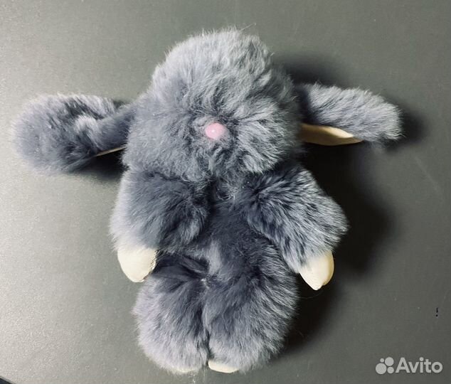 Декоративный кролик