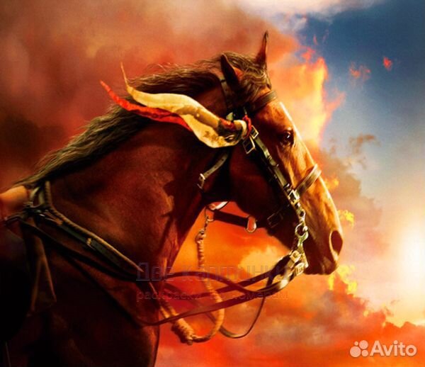 Алмазная мозаика 40x50 Конь в лучах заходящего сол