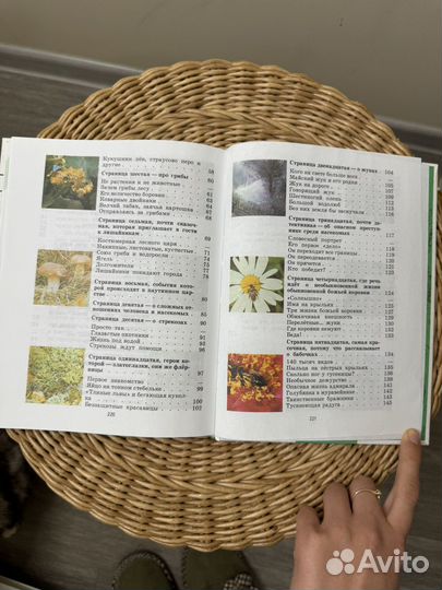 Зеленые страницы Плешаков