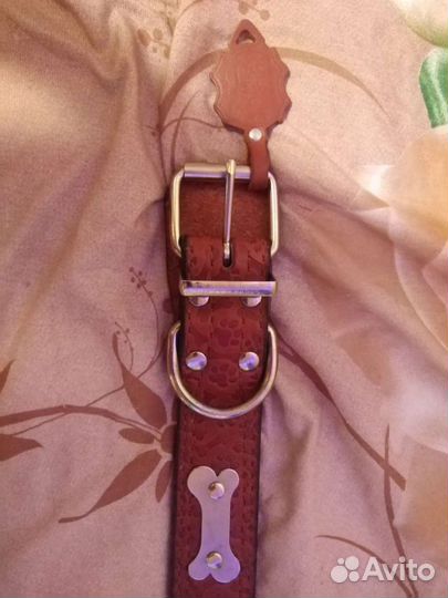 Ошейник для собак