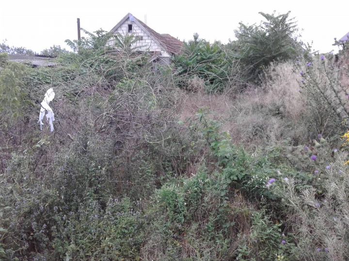 Дом 27 м² на участке 10 сот.