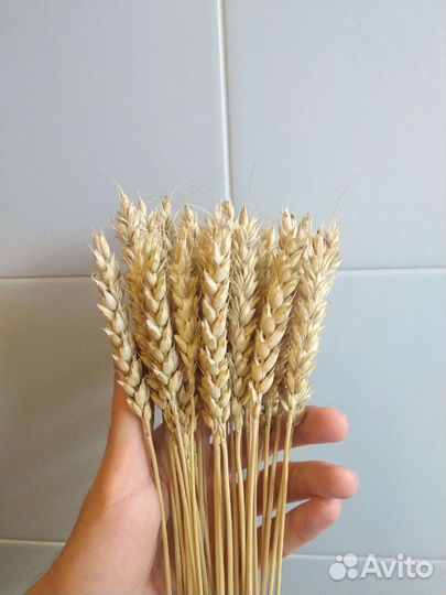 Украшения для дома и дачи