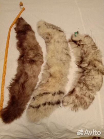 Меховые воротник и шкурки