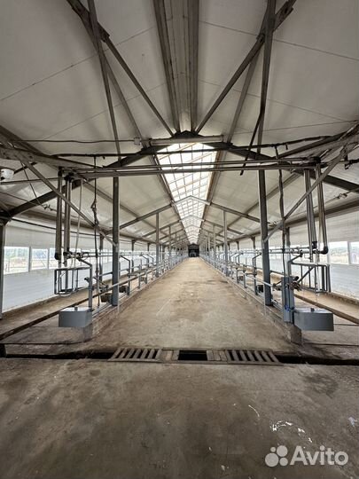 Ферма Коровник