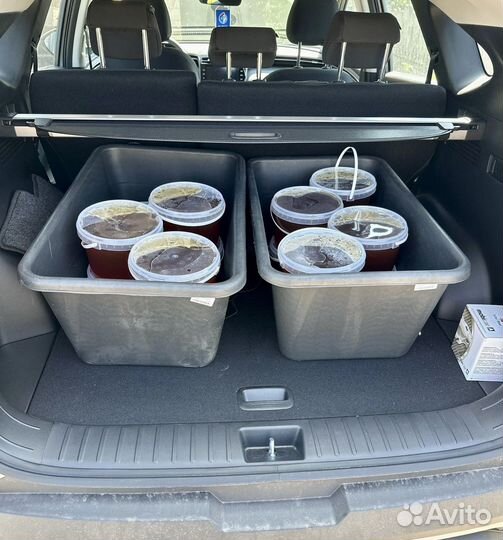 Мёд урожая 2023 года