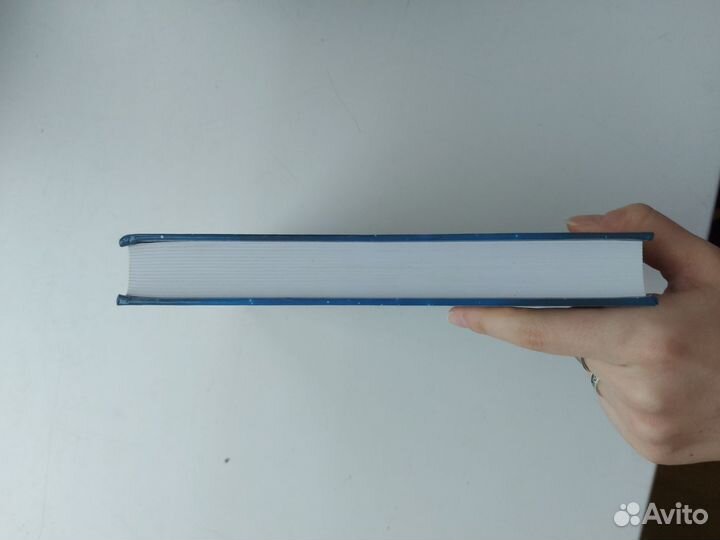 Лиз Мюррей - Клуб бездомных мечтателей