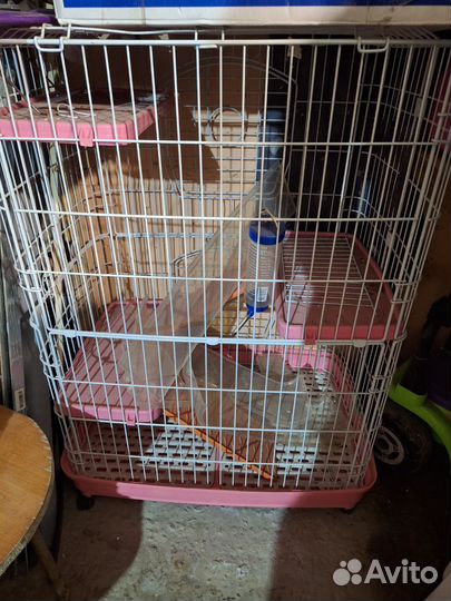 Клетка для крупного попугая