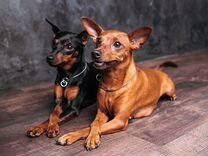 Как найти три четвертых от числа. Находение дробей от симла. Найти 3 4 от 52. Число половина которого равна 1 6. Найти 3 4 от 52.