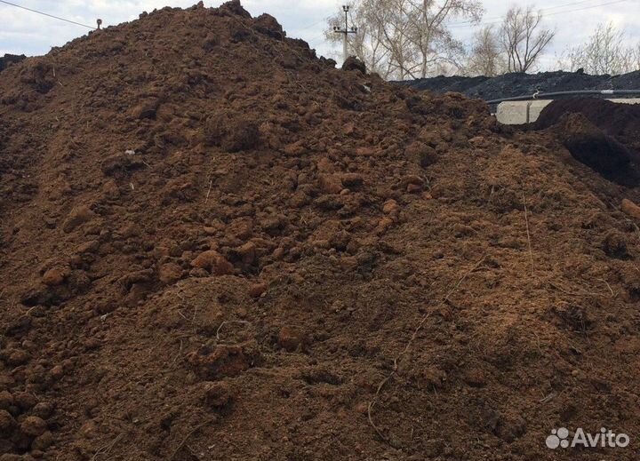 Куриный навоз