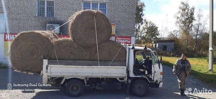 Продам сено в рулонах