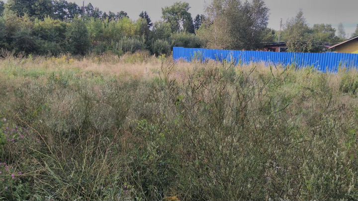 Участок 9 сот. (СНТ, ДНП)