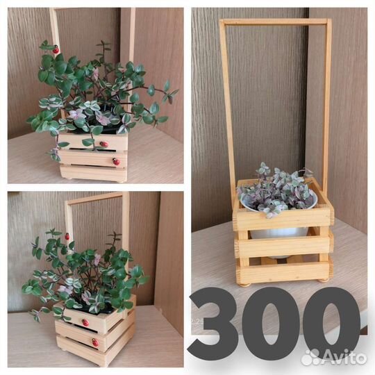 Кашпо, подставки, ящики для растений