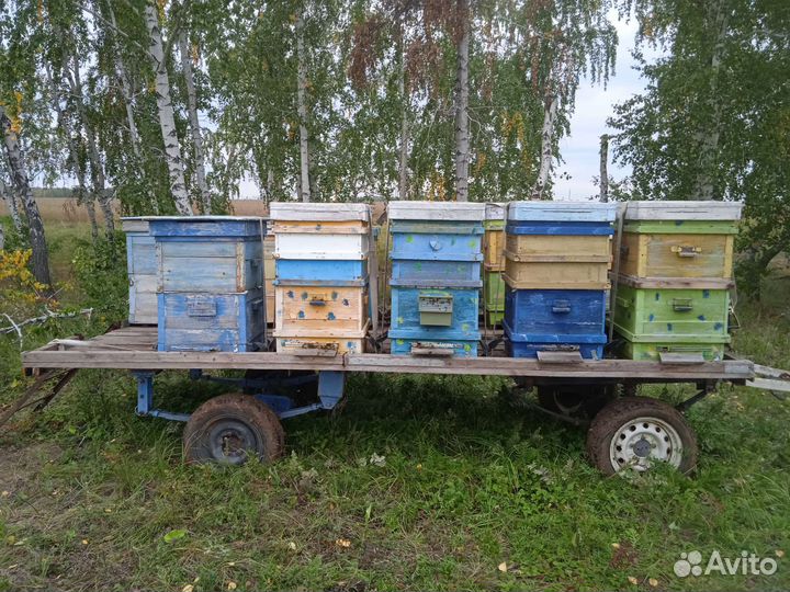 Прицеп платформа для перевозки и кочёвки пчел