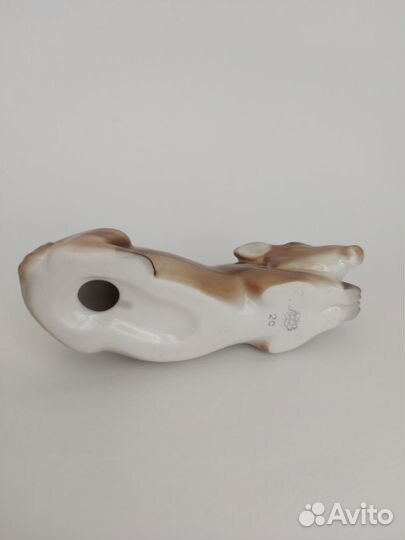 Дикий кабан лфз