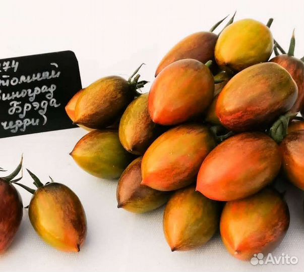 Коллекционные семена сортовых томатов