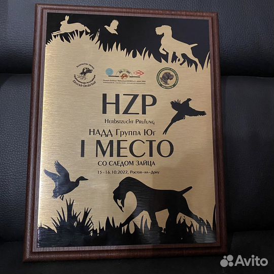 Натаска легавых