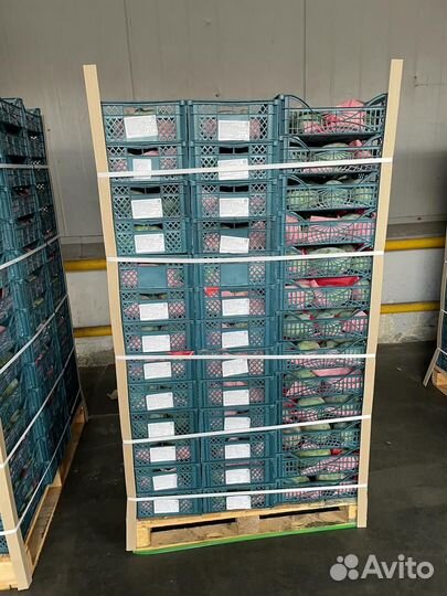 Ищу партнера - дистрибьютера