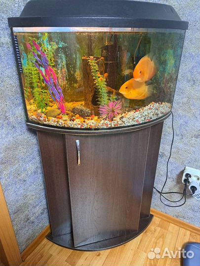 Аквариум