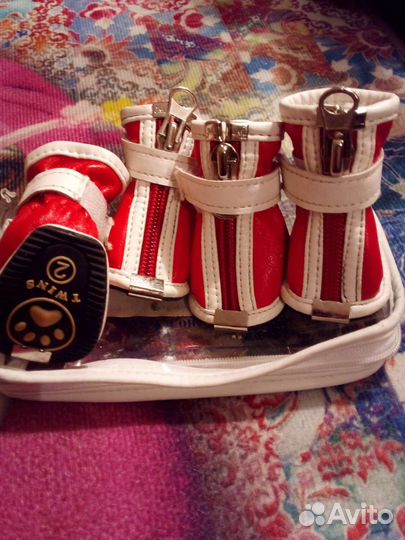 Ботинки водонепроницаемые для собак мелких пород